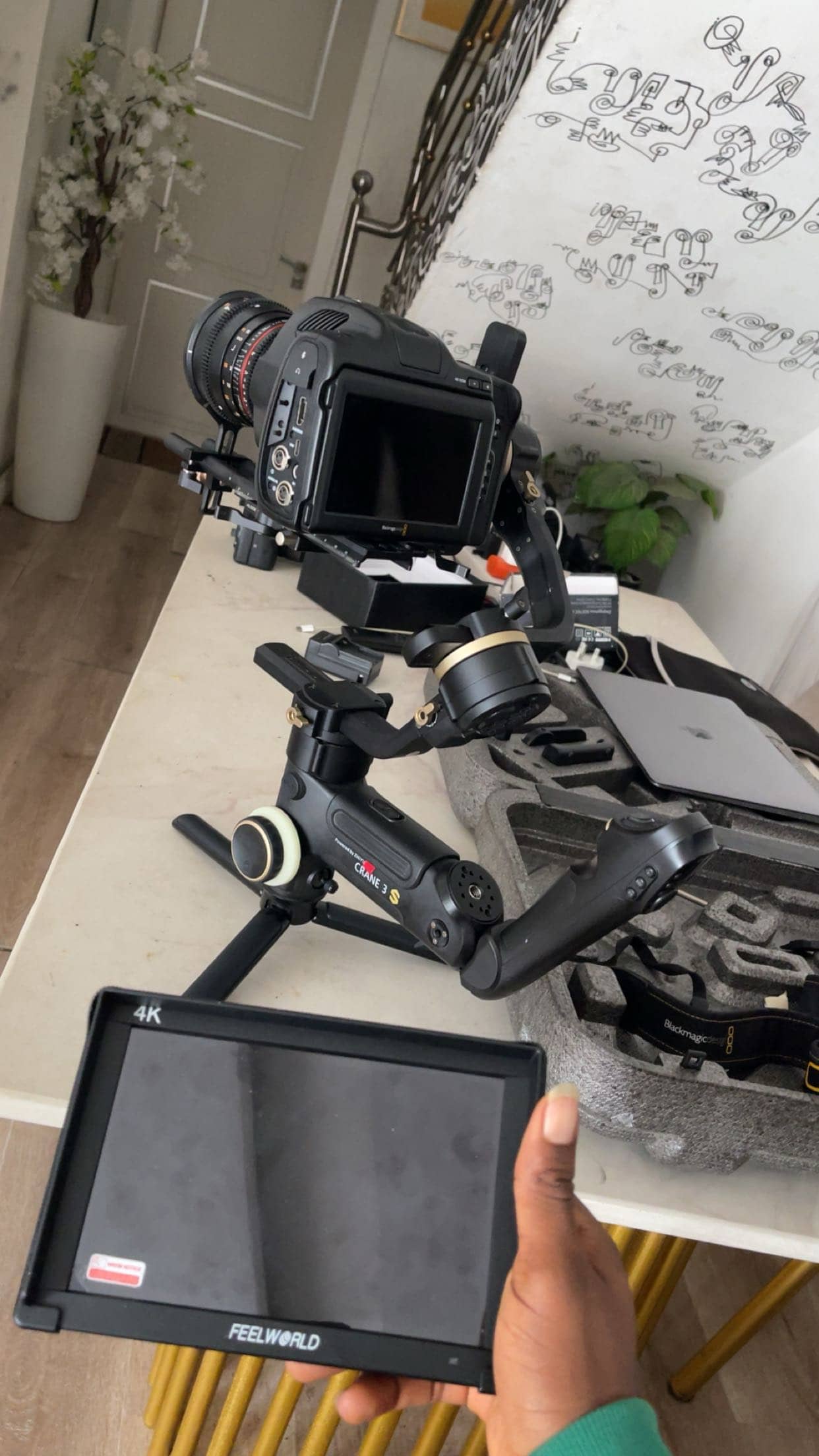 Portrait Photography